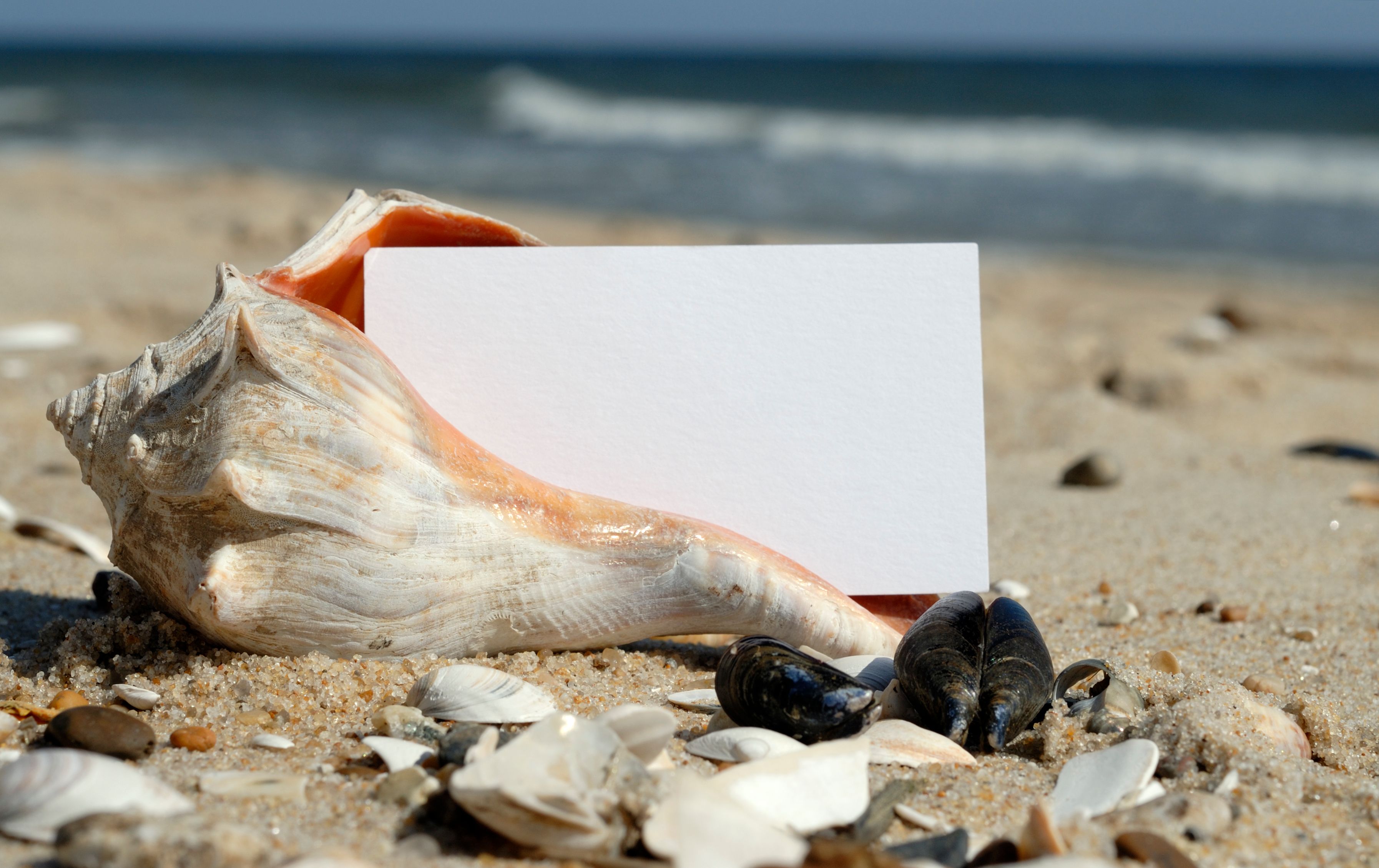 Producción audiovisual y marketing digital